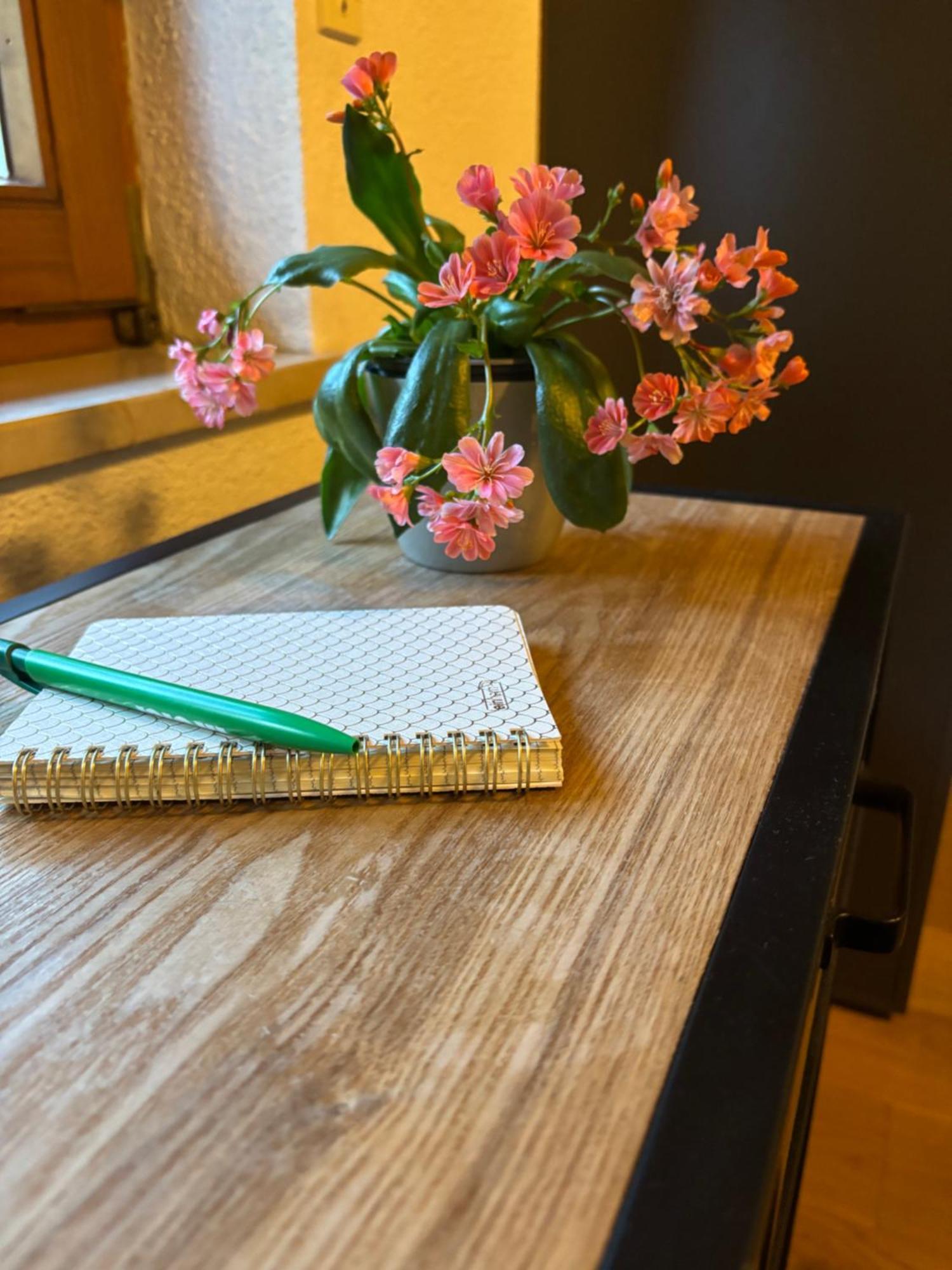 Lechtaler Alpenblick Landeck - Privatzimmer & Ferienwohnung エクステリア 写真